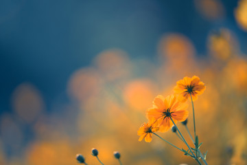 哈弗H6后视镜上的按钮都是干什么用的？