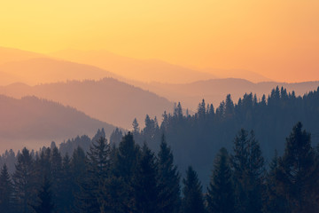 宝马3系全新升级 养车要花多少钱？