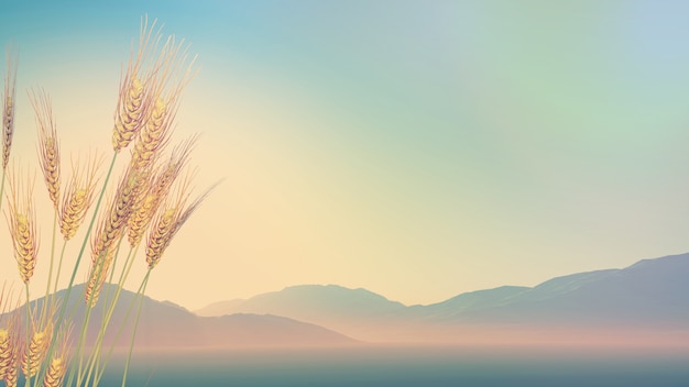 买二手车怎么查事故