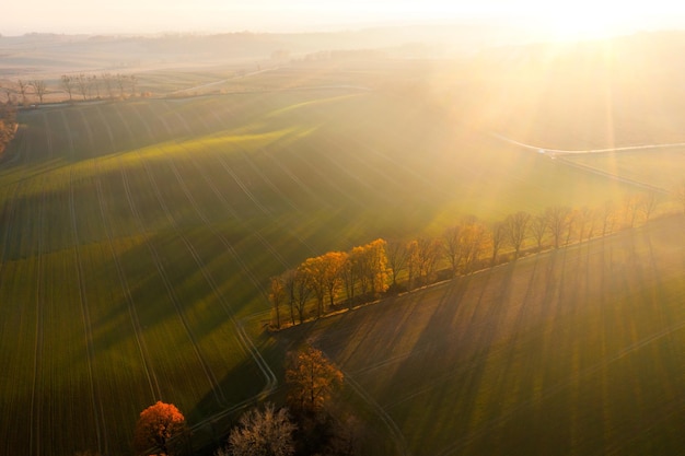 皮卡逐步迭代法